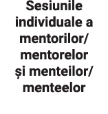 Sesiunile individuale a mentorilor  mentorelor și menteilor  menteelor